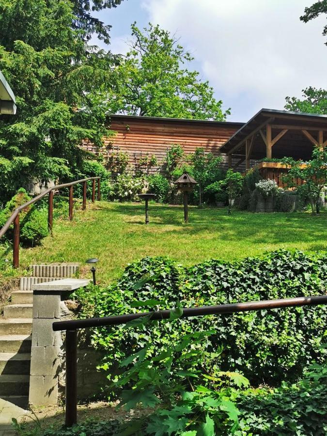 Pension Ginko Wernigerode Dış mekan fotoğraf