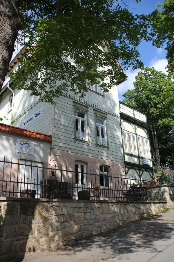 Pension Ginko Wernigerode Dış mekan fotoğraf